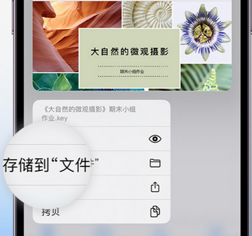 锡山apple维修中心分享iPhone文件应用中存储和找到下载文件