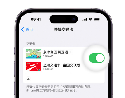 锡山apple维修点分享iPhone上更换Apple Pay快捷交通卡手绘卡面 