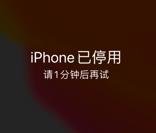 锡山苹果手机维修分享:iPhone 显示“不可用”或“已停用”怎么办？还能保留数据吗？ 