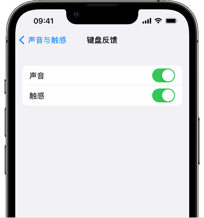 锡山苹果14维修店分享如何在 iPhone 14 机型中使用触感键盘 