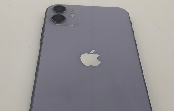 锡山苹果11系统维修分享iPhone11手机系统崩溃无法开机如何解决 